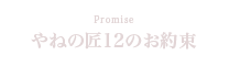 ˂̏12̂