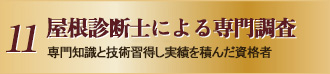 11 ffmɂ咲